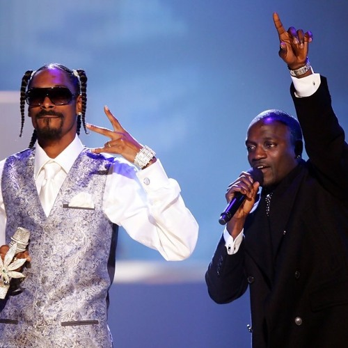 Akon has collaborated with Snoop Dog in the past
