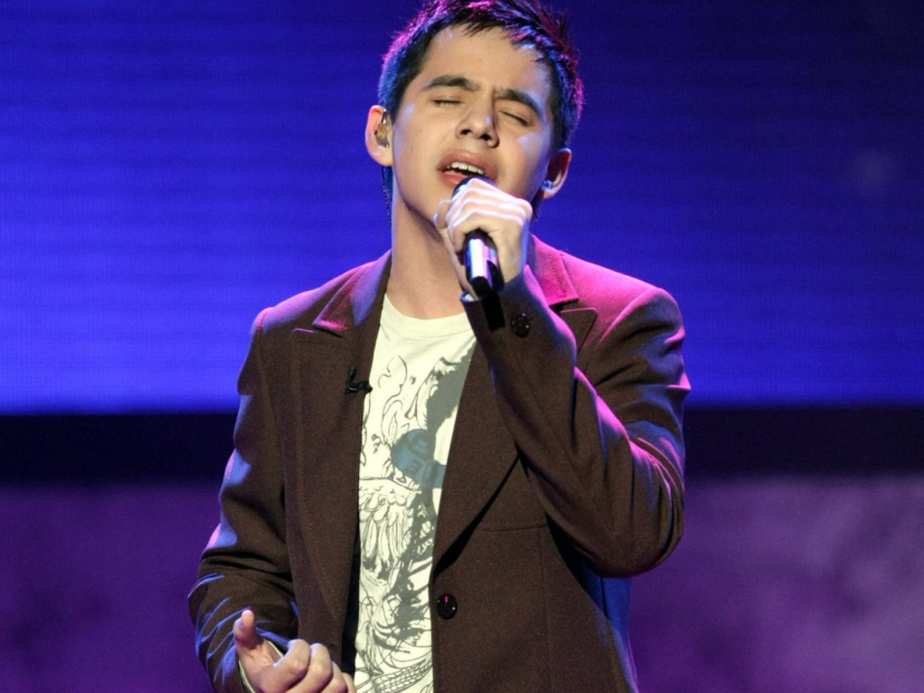 David Archuleta was in the seventh season of 'American Idol'