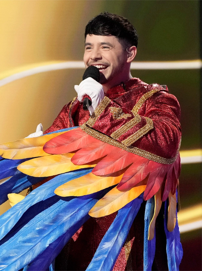 David Archuleta was dressed as the Macaw in 'The Masked Singer'