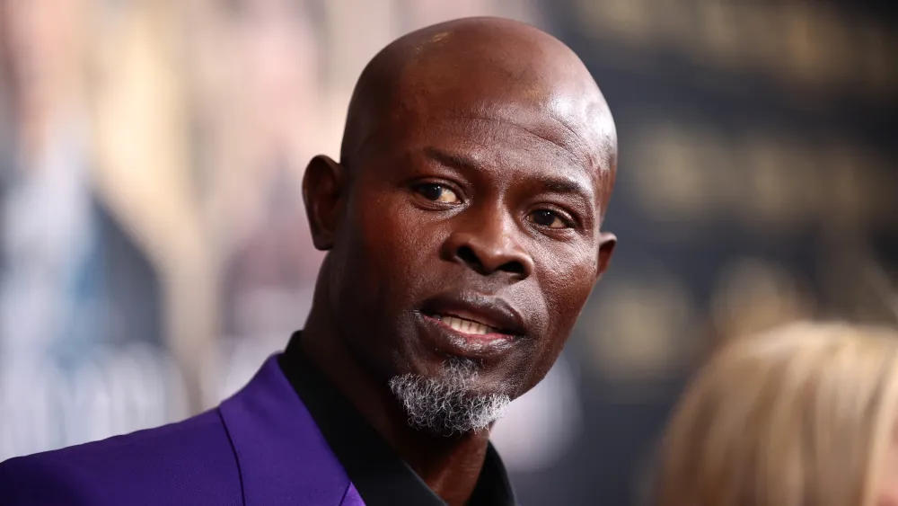 Djimon Hounsou has struggled for fair pay